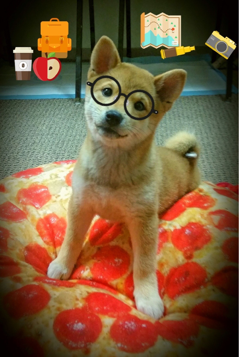 中国足球国家队组织多样化战术对抗演练，中国足球国家队比赛理念