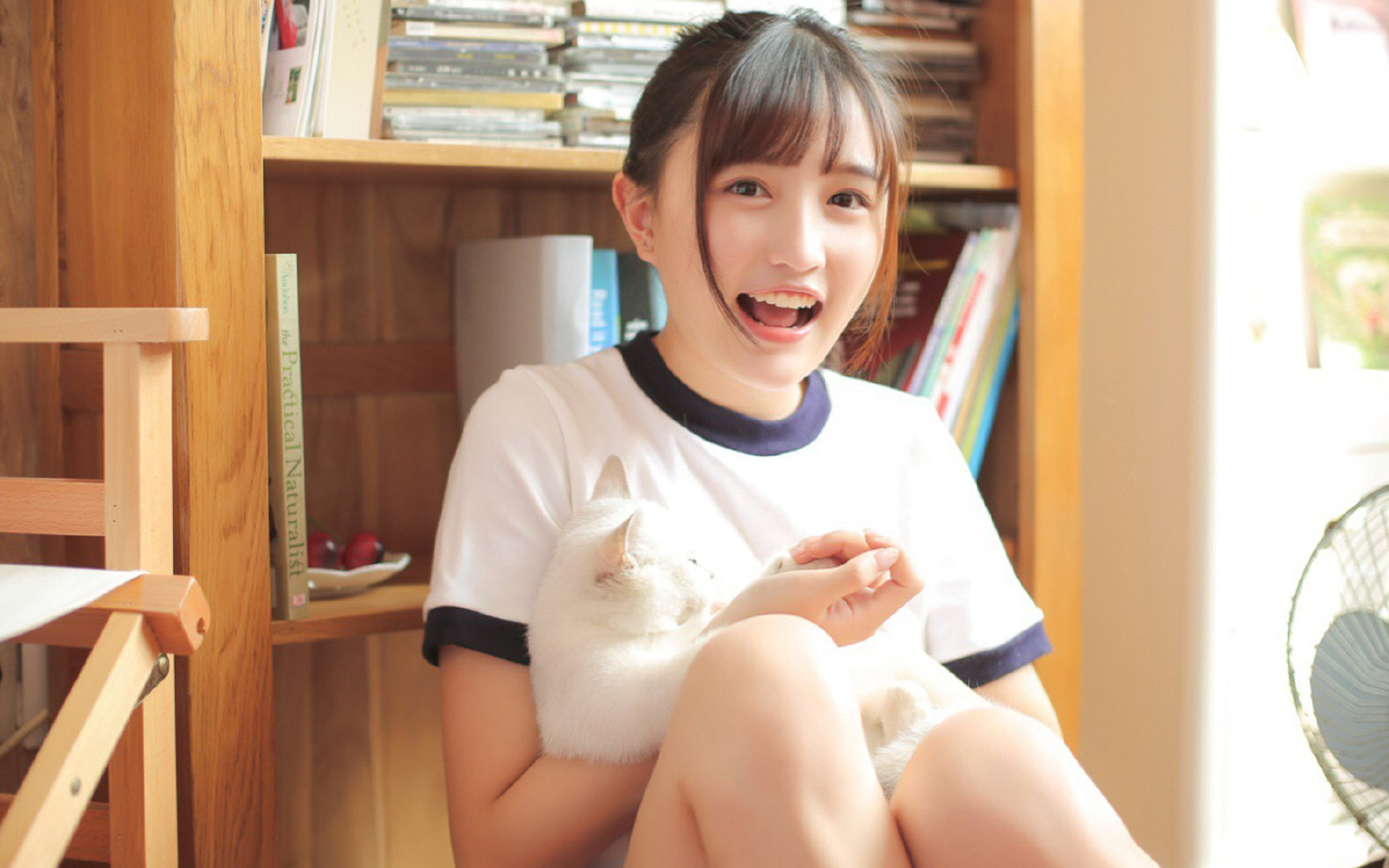 新赛季联赛引入积分系数制度变化，联赛积分阵营在哪