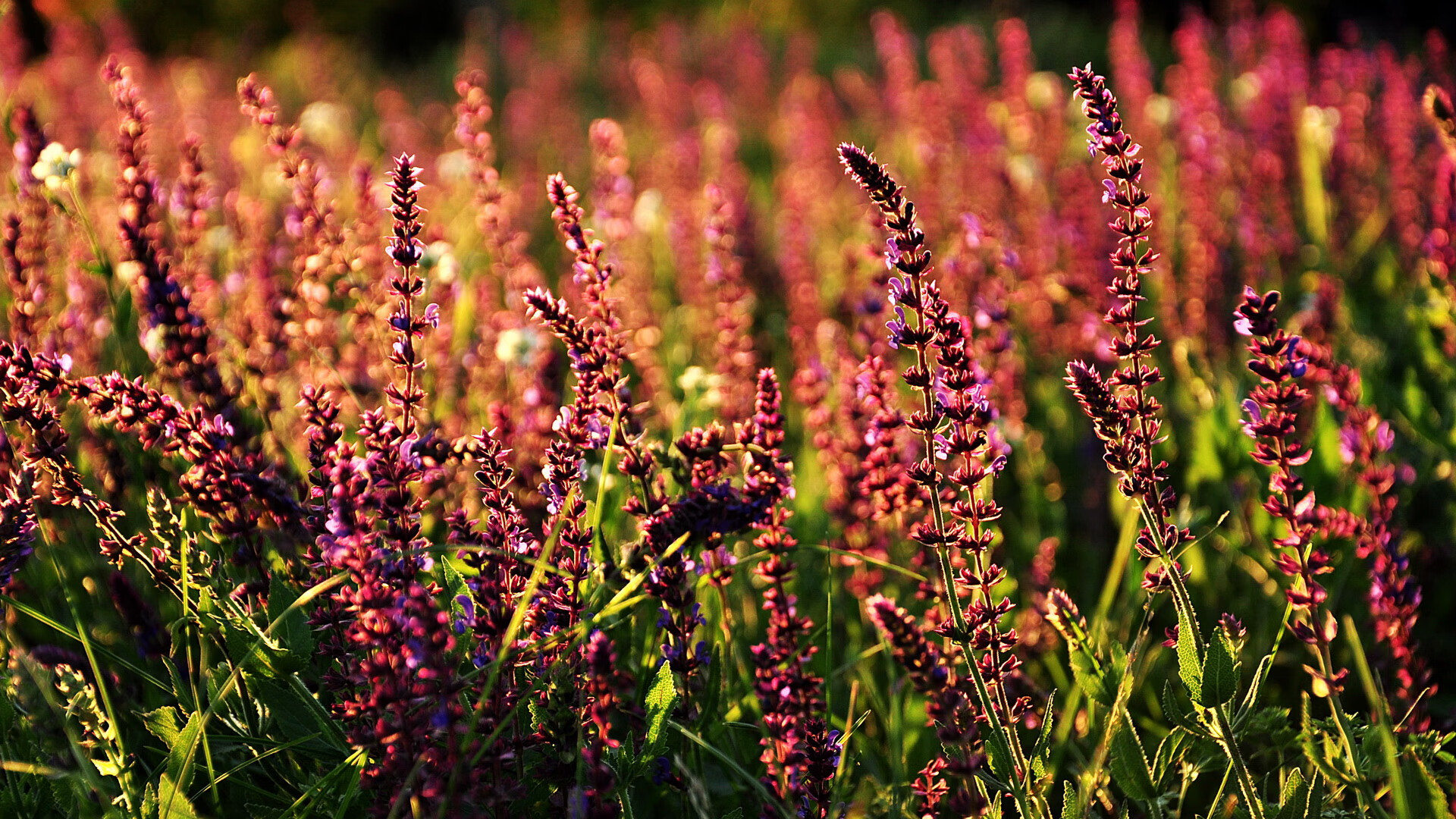 滑行阶段时间增加,技术稳步进步,什么叫滑行