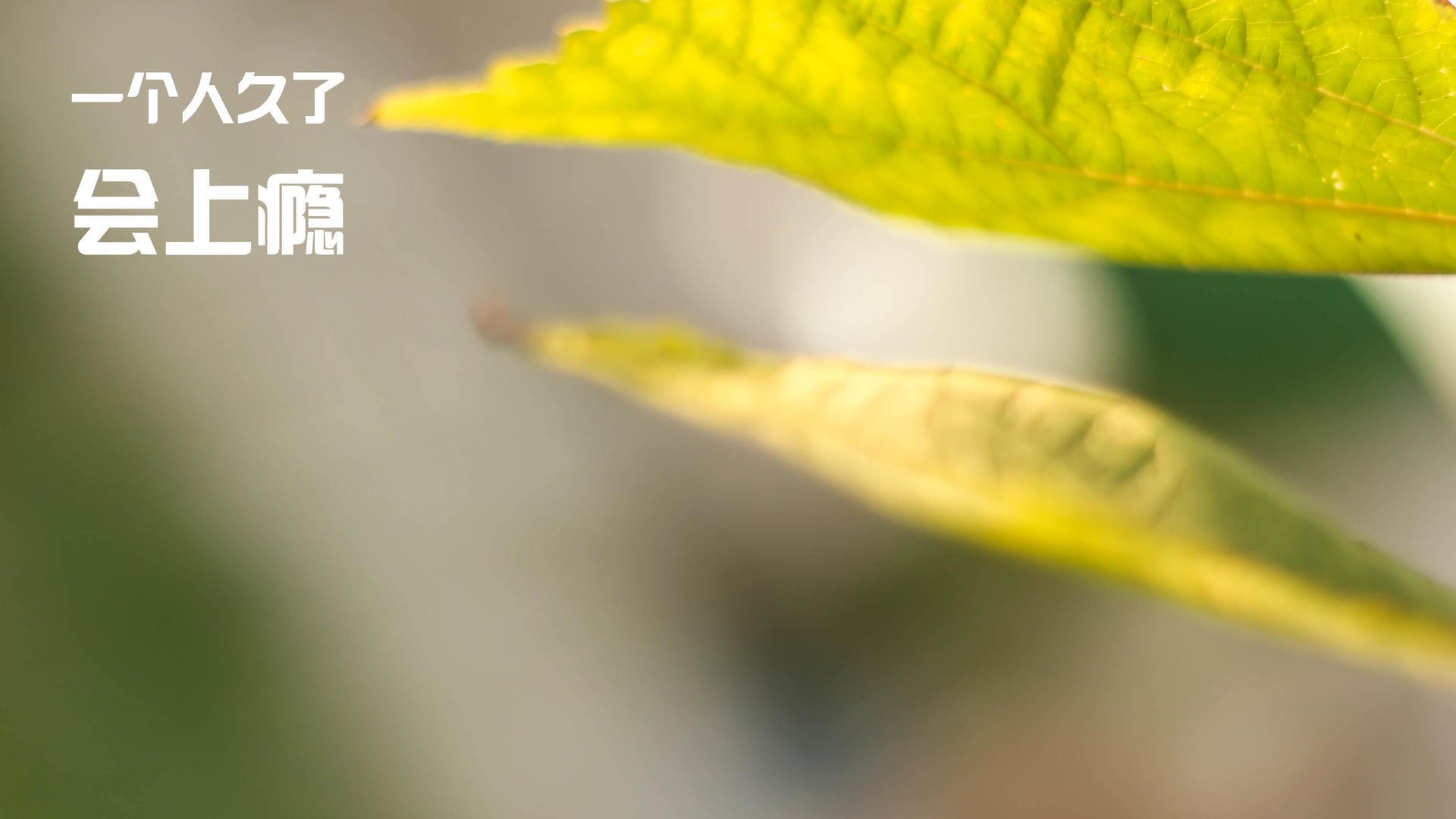 开云集团中国官网-中国足球联赛球场智能安保系统投入使用，足球赛安保工作方案